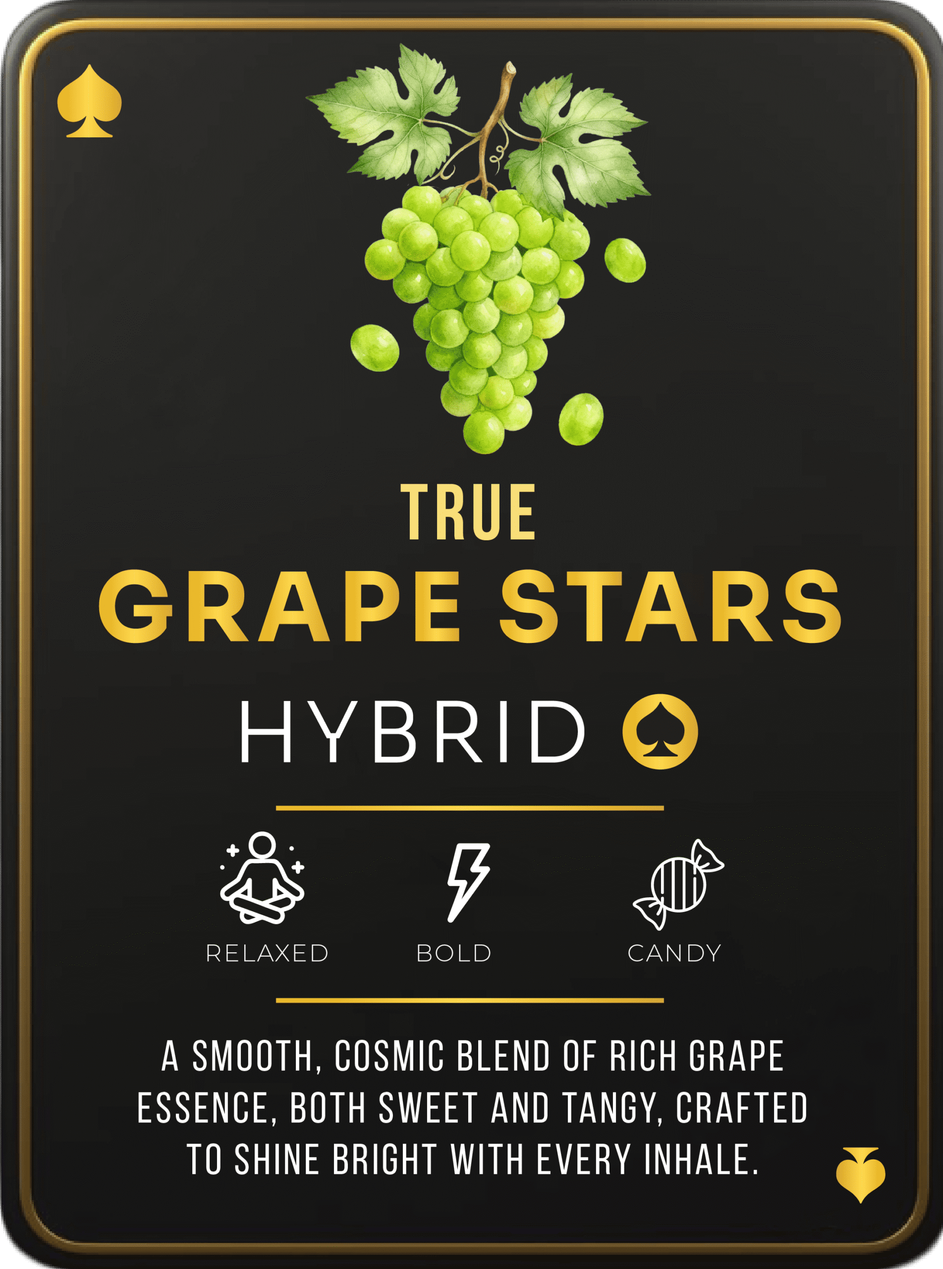 ace ultra premium, ace ultra premium 2g disposable, ace ultra premium disposable, ace ultra premium 2g, ace ultra premium price, ace ultra premium gold, ace premium cart, ace of spades cart, ace dispo,