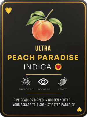ace ultra premium, ace ultra premium 2g disposable, ace ultra premium disposable, ace ultra premium 2g, ace ultra premium price, ace ultra premium gold, ace premium cart, ace of spades cart, ace dispo,